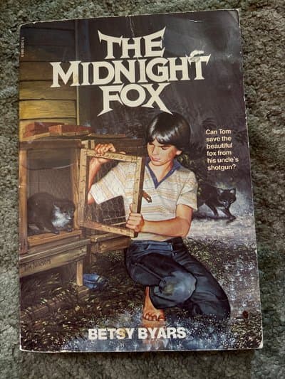 The Midnight Fox