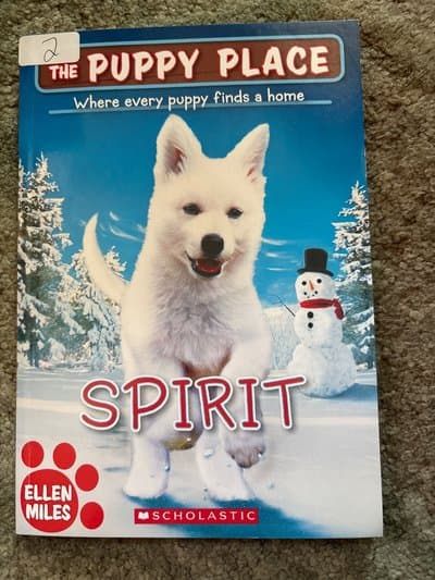 Spirit